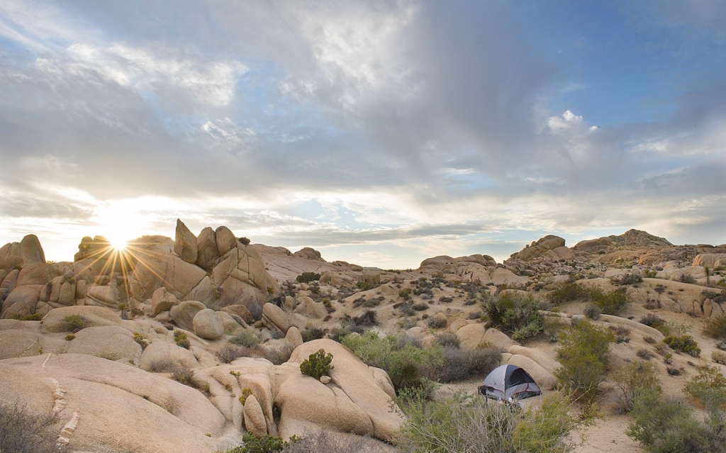 Camping Jumbo Rocks